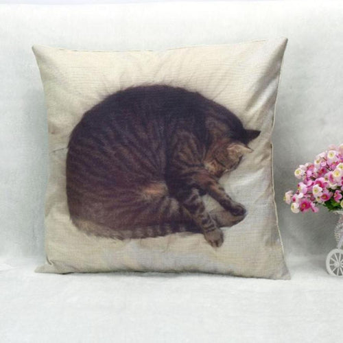 Decorative cat throw pillows