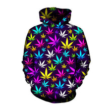 Load image into Gallery viewer, 3D Print Hoodies Men/Women