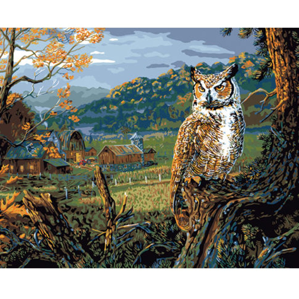 Owl Digital DIY Paint By Number Kit Oil Painting Wall Decor