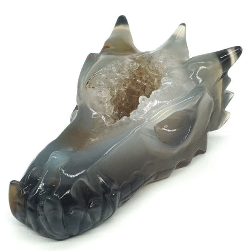 Dragon Skull Head Natural Agate gem Healing Geode